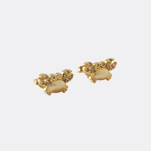 Aretes Crab Circonias