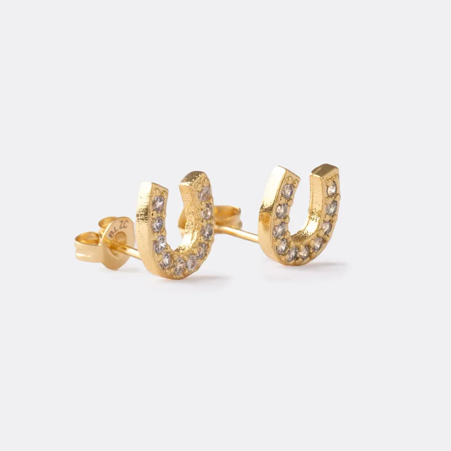Aretes Equino